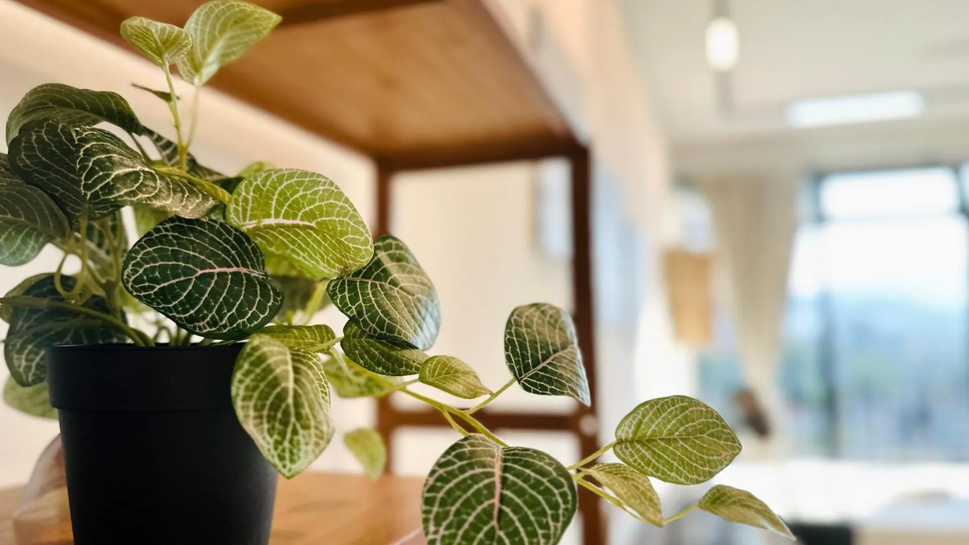 New Georgetown Instagramable 2Br Homestay For 10Pax 无敌美景两房民宿 Beacon Executive Suite 0*, George Town